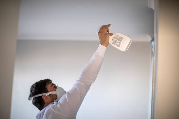 Best Residential Mold Removal  in Carthage, TX