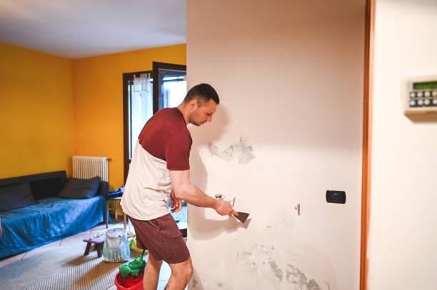 Best Emergency Mold Removal  in Carthage, TX