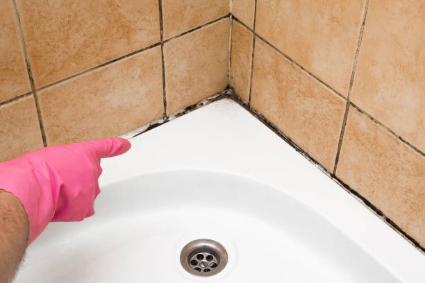 Best Mold Testing  in Carthage, TX